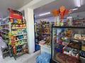 Магазины и бутики · 120 м² за 25 млн ₸ в Шардара — фото 3