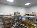 Еркін, дүкендер мен бутиктер · 78 м², бағасы: 65 млн 〒 в Астане, Нура р-н — фото 19