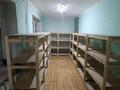Магазины и бутики · 100 м² за 270 000 〒 в Семее — фото 3
