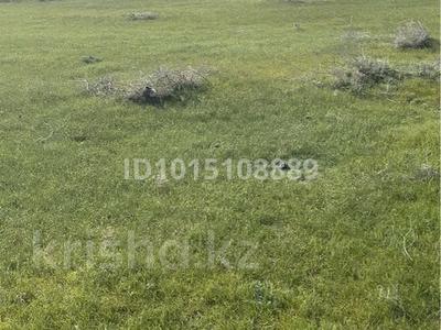 Участок · 100 га, Шаян — Орентир қызыл көпір, жылы су! за 43 млн ₸ в Туркестанской обл.