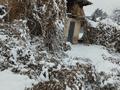 Жер телімі · 10 сотық, Талгат Тегис 76, бағасы: 25 млн ₸ в  — фото 4
