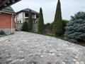 Отдельный дом · 7 комнат · 200 м² · 12 сот., Достык 22 за 175 млн ₸ в  — фото 3