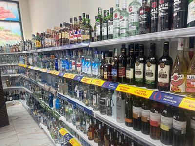 Магазины и бутики · 585 м² за 585 млн 〒 в Алматы, Алатауский р-н