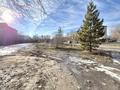 Участок · 11 соток, Жастар 74/77 за 38 млн ₸ в Талдыкоргане — фото 4