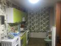Отдельный дом · 3 комнаты · 33.37 м² · 1 сот., Гурьевская 20 за 11.5 млн ₸ в Усть-Каменогорске, Меновное — фото 4