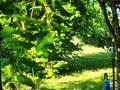 Часть дома · 4 комнаты · 141 м² · 12 сот., Шагала 3 за 38 млн ₸ в Круглоозерном — фото 22