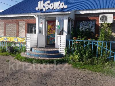 Частный дом с магазином · 91.5 м² за 23.5 млн ₸ в Бишкуле (Бесколь)