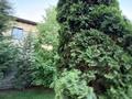 Жеке үй · 4 бөлме · 317 м² · 9 сот., мкр Комсомольский, Кыз жибек 28/12, бағасы: 300 млн ₸ в Астане, Есильский р-н — фото 25
