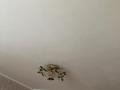 2-бөлмелі пәтер · 51 м² · 5/10 қабат, мкр 11 114, бағасы: 17 млн ₸ в Актобе — фото 3