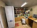 Свободное назначение, магазины и бутики, общепит, салоны красоты · 100 м² за 12 млн ₸ в  — фото 4