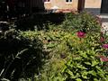 Отдельный дом · 5 комнат · 148.86 м² · 7 сот., Ж.Шанина 21 — Майлы Қожа мен Ж.Шанин қиылысы за 35 млн ₸ в Арыси — фото 14
