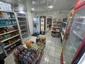 Дүкендер мен бутиктер · 100 м², бағасы: 48.5 млн ₸ в Сергеевке — фото 6