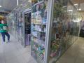 Магазины и бутики · 12 м² за 90 000 ₸ в Астане, Сарыарка р-н