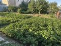 Отдельный дом · 7 комнат · 280 м² · 15 сот., Советская 1 — Анвар за 60 млн ₸ в Актобе, жилой массив Жилянка — фото 5
