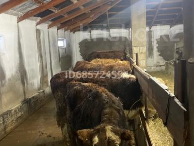 Продажа промбаз и заводов в Акмолинской обл.: Промбаза · 25 соток, Село Сарыадыр 5 за 12 млн 〒 Промбаза · 25 соток, Село Сарыадыр 5 за 12 млн 〒 в Кабанбае Батыра