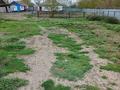 Участок · 15 соток, Мира 28 — Возле Акимата за 45 млн ₸ в Ефремовке — фото 5