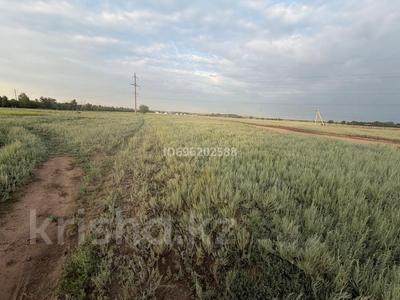 Жер телімі · 10 га, Ясное, бағасы: 5 млн ₸