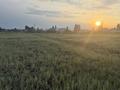 Жер телімі · 10 га, Ясное, бағасы: 5 млн ₸ — фото 2