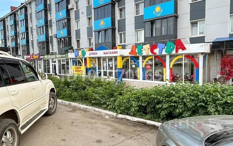 Еркін · 200 м², бағасы: 800 000 ₸ в Усть-Каменогорске, Ульбинский — фото 2