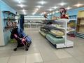 Еркін · 200 м², бағасы: 800 000 ₸ в Усть-Каменогорске, Ульбинский — фото 9
