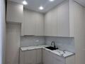 2-комнатная квартира · 40 м² · 2/12 этаж, Казыбек би 41/1 за 29.5 млн ₸ в Астане, Нура р-н — фото 6