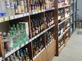 Магазин разливных напитков · 126 м² за 8 млн 〒 в Астане, Алматы р-н — фото 7