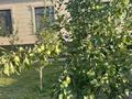 Жеке үй · 5 бөлме · 200 м² · , мкр Туран 750 — Үшсала, бағасы: 75 млн ₸ в Шымкенте, Каратауский р-н — фото 26