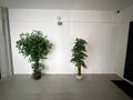 2-бөлмелі пәтер · 88 м² · 5/5 қабат, Алтын Орда, бағасы: 26 млн ₸ в Актобе — фото 10