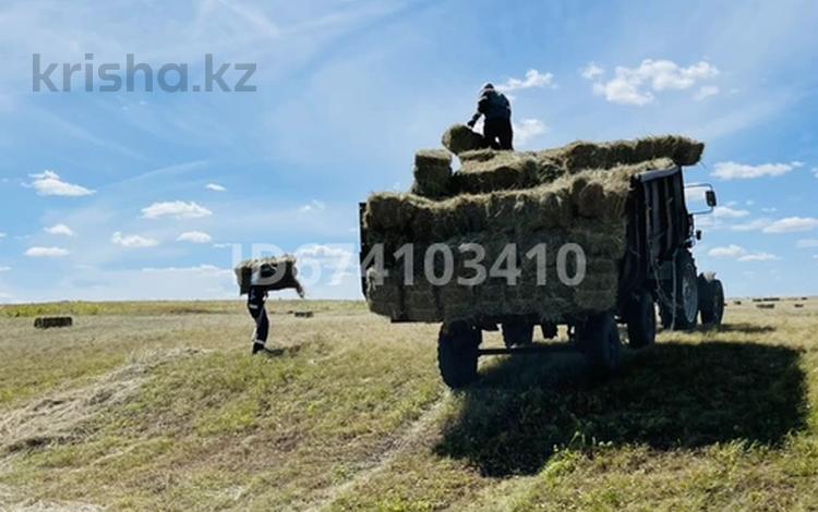 Сельское хозяйство · 1000 м² за 50 млн 〒 в Беккул баба — фото 23