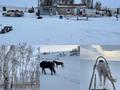 Сельское хозяйство · 1000 м² за 50 млн 〒 в Беккул баба — фото 30