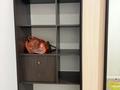 1-бөлмелі пәтер · 43.5 м² · 2/9 қабат, Б.Сокпакбаева 1 — Сарыарка, бағасы: 230 000 ₸ в Астане, Сарыарка р-н — фото 10