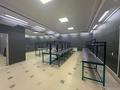 Еркін · 1535 м², бағасы: 160 млн ₸ в Шубаркудуке — фото 93