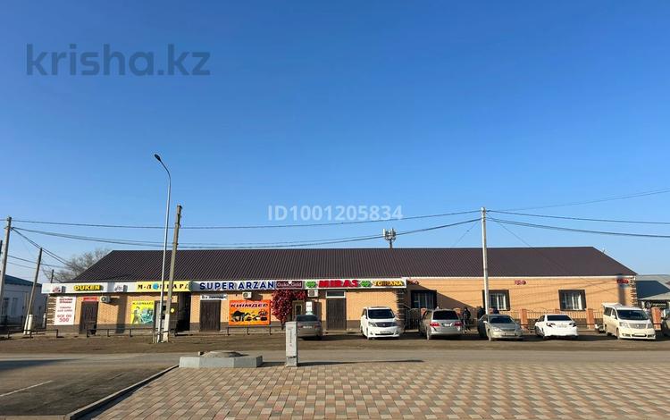 Еркін · 1535 м², бағасы: 180 млн ₸ в Шубаркудуке — фото 88