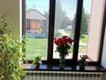 Дача · 4 комнаты · 120 м², мкр Достык , Кайнарбулак 50 — Ул.Комарова 50 за 70 000 ₸ в Шымкенте, Абайский р-н — фото 24