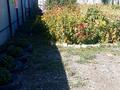 Отдельный дом · 4 комнаты · 130 м² · 10 сот., Жобалама 1046 — Возле Иподрома Нурдаулет. за 38 млн ₸ в Шалкар — фото 7