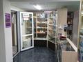 Магазины и бутики • 53 м² за 20 млн 〒 в Астане, Алматы р-н — фото 3
