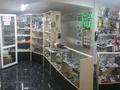 Магазины и бутики • 53 м² за 20 млн 〒 в Астане, Алматы р-н — фото 12