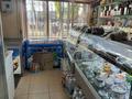 Магазины и бутики · 78.3 м² за 135 млн ₸ в Алматы, Турксибский р-н — фото 5