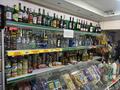 Магазины и бутики · 78.3 м² за 135 млн ₸ в Алматы, Турксибский р-н — фото 9