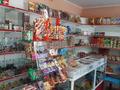 Магазины и бутики • 70 м² за 15.5 млн 〒 в Караой — фото 10