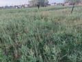 Жер телімі · 10 сотық, Талгар, бағасы: 3.5 млн 〒 — фото 3