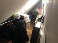 Отдельный дом · 4 комнаты · 155 м² · 6 сот., Кокжиек 9 — Рядом с детским садом Болашак (ул.Майса 50) за 37 млн ₸ в Каскелене — фото 17