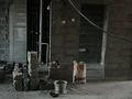 3-бөлмелі пәтер · 137 м² · 10/10 қабат, 18А мкр 3 дом, бағасы: 56.1 млн ₸ в Актау — фото 15