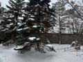 Жеке үй · 7 бөлме · 350 м² · 16 сот., Майлина, бағасы: 253 млн ₸ в Астане, Алматы р-н — фото 24