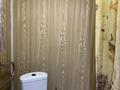 Отдельный дом · 5 комнат · 100 м² · 12 сот., Жетысу 5 за 33 млн ₸ в Космосе — фото 13