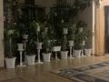Отдельный дом · 7 комнат · 324 м² · 8.8 сот., мкр Кемел (Первомайское) 10 — Есемхан за 135 млн ₸ в Алматы, Жетысуский р-н — фото 48