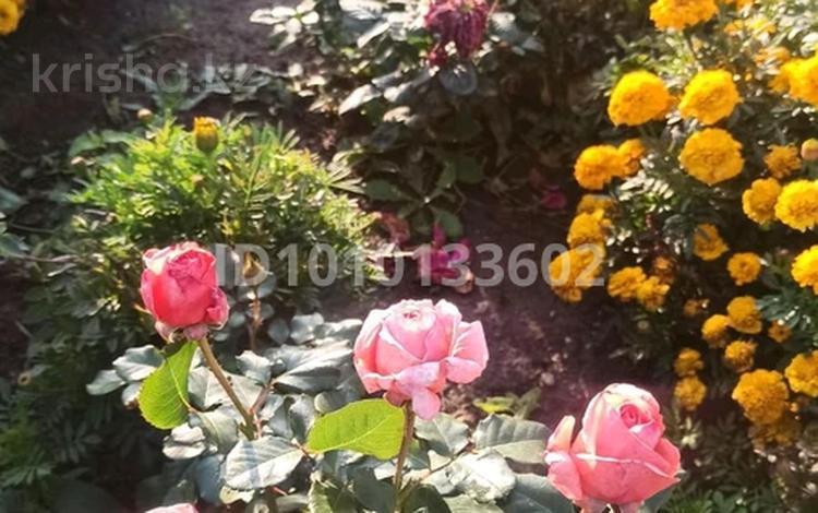 Дача · 1 комната · 30 м² · 11 сот., мкр Фёдоровка — Сообщество Весна за 4 млн 〒 в Караганде, Казыбек би р-н — фото 2