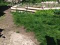 Отдельный дом · 3 комнаты · 64 м² · 6 сот., Болтирик 25 за 8 млн ₸ в Текели — фото 3