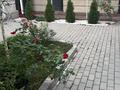 Отдельный дом · 5 комнат · 200 м² · 5 сот., Базарбаева 24 за 650 000 ₸ в Алматы, Медеуский р-н — фото 2