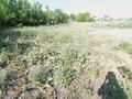 Участок · 18 соток, Казахстанская за 5 млн ₸ в Щучинске